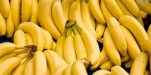 manfaat kesehatan dari mengkonsumsi pisang